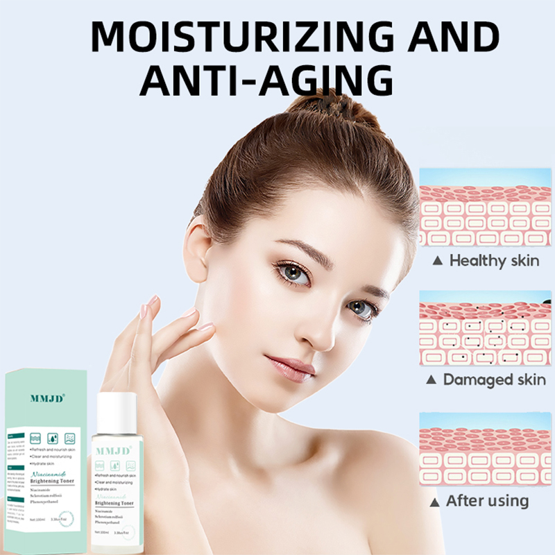 Magic Phát Sáng Mặt Niacinamid - đánh giá và giá Skincare Oily Skin