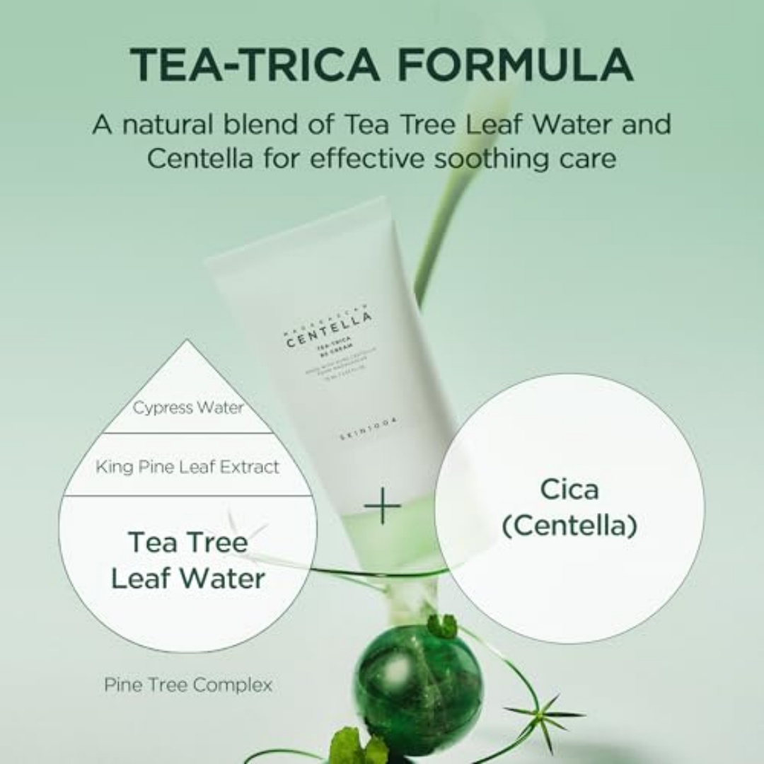 SKIN1004 Tea-Trica BS Cream Ce - đánh giá và giá Skincare Oily Skin